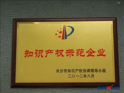 先导式创新推动九游体育(中国)官方网站智能知识产权工作驶入快车道