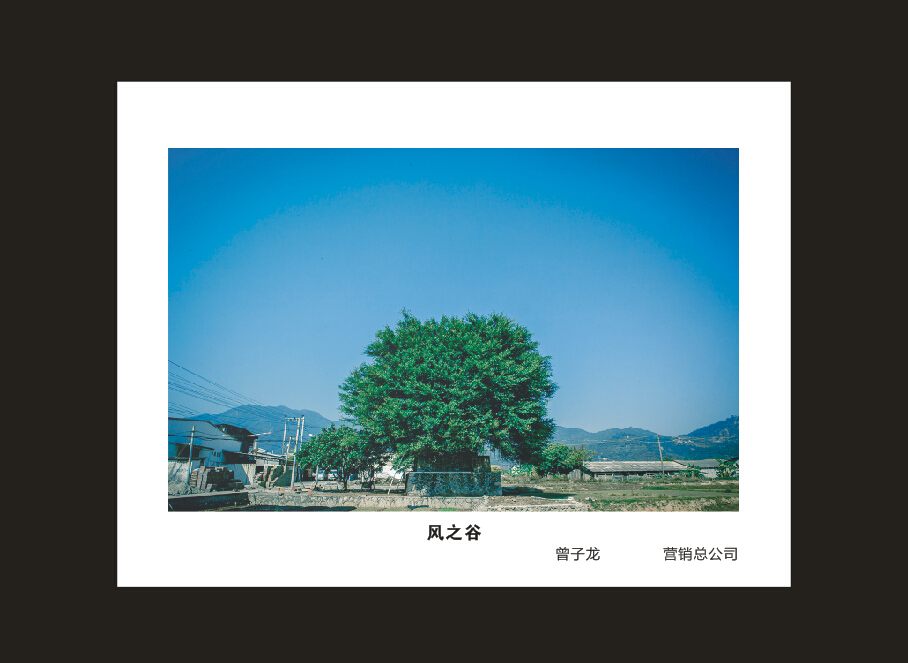 九游体育(中国)官方网站智能成立16周年司庆活动“魅力九游体育(中国)官方网站”摄影比赛优秀作品展