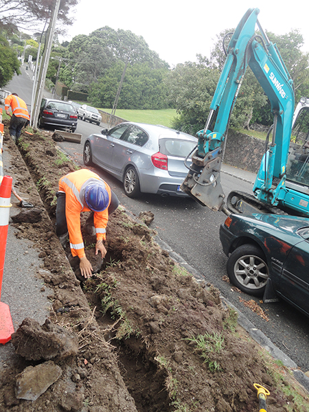 九游体育(中国)官方网站挖掘机畅销新西兰