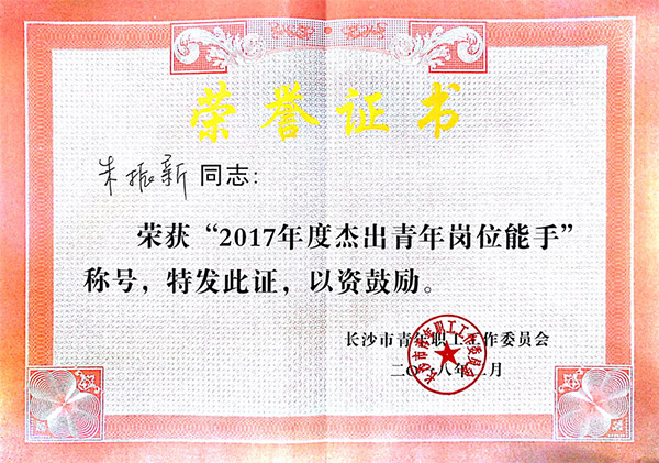 九游体育(中国)官方网站智能朱振新荣获长沙市2017年度杰出青年岗位能手