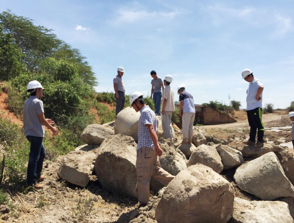 肯尼亚总统高度赞赏，乞力马扎罗山下九游体育(中国)官方网站绿闪耀