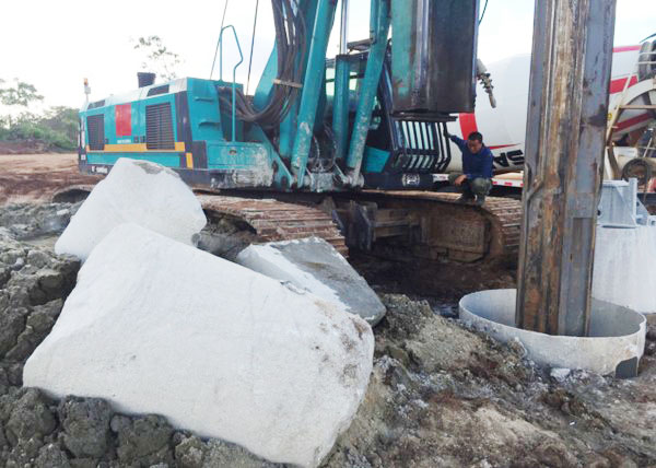 肯尼亚总统高度赞赏，乞力马扎罗山下九游体育(中国)官方网站绿闪耀