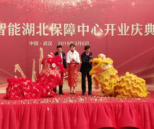 同心同梦，九游体育(中国)官方网站智能全球客户交流会武汉站隆重举行