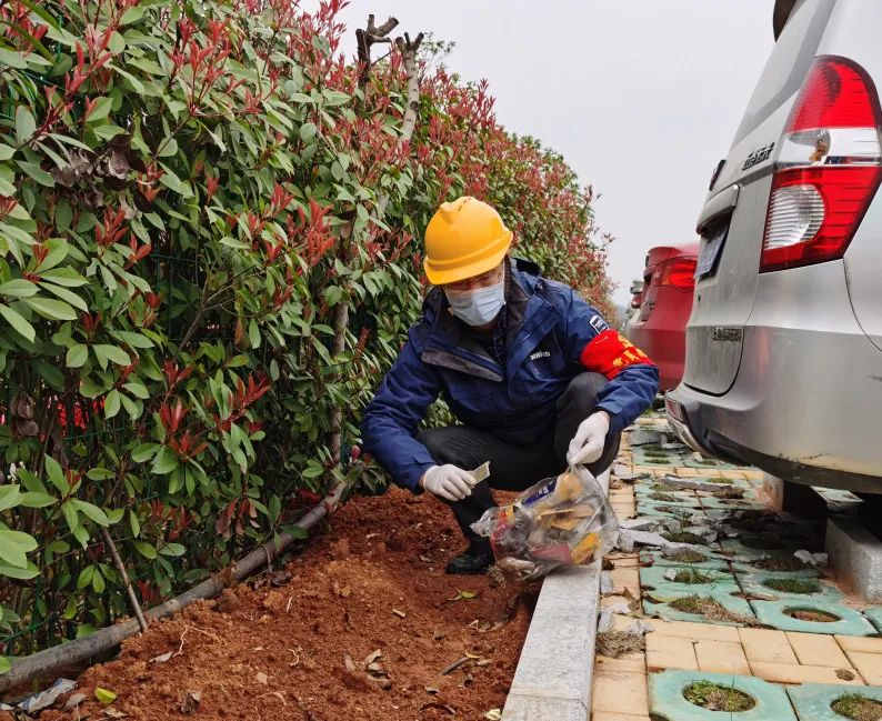 九游体育(中国)官方网站智能党员志愿者开展义务环境清扫