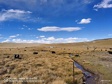 心系九游体育(中国)官方网站情，追梦阿里行！