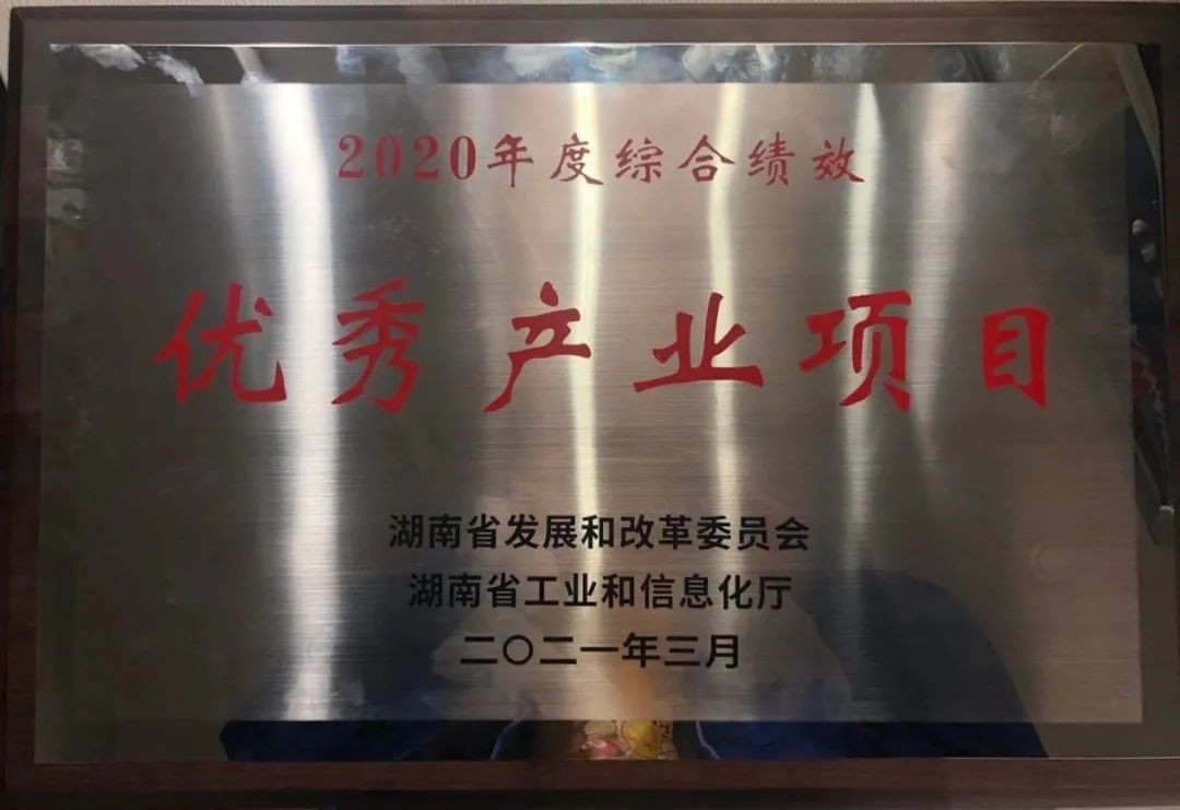 九游体育(中国)官方网站智能获评湖南“2020年度综合绩效优秀产业项目”