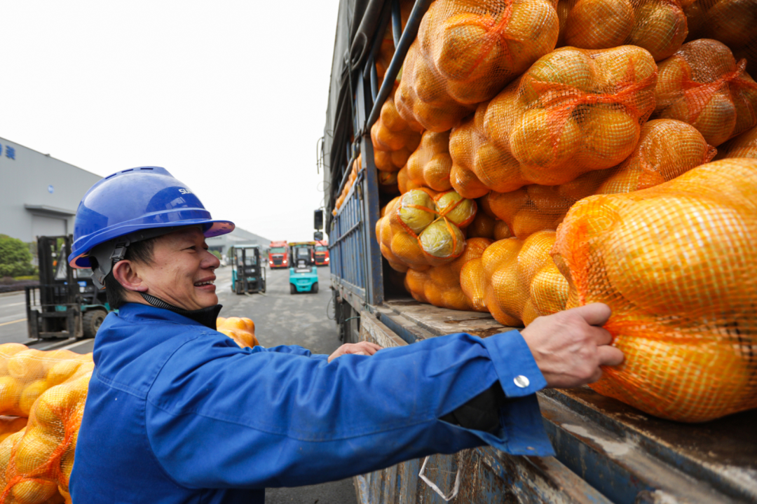 点赞！九游体育(中国)官方网站智能成功入选“上市公司乡村振兴优秀实践案例”